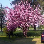 Forum Hotell 3*