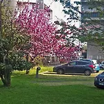 Forum Hotell