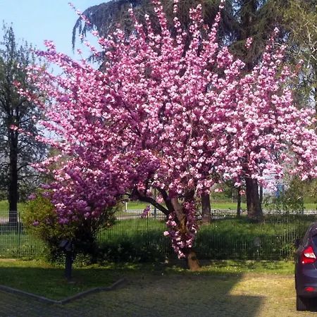 Forum Ξενοδοχείο 3*