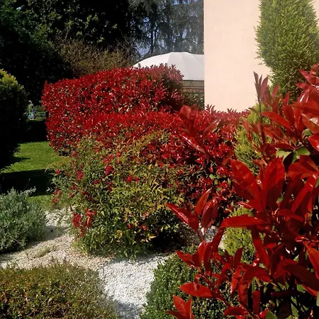 Ξενοδοχείο Forum