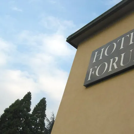 Forum 로짜노